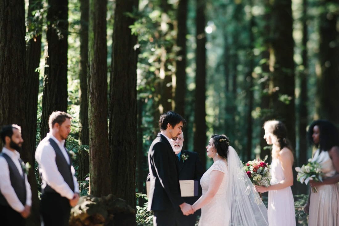 Robert's Regional Park wedding ceremony