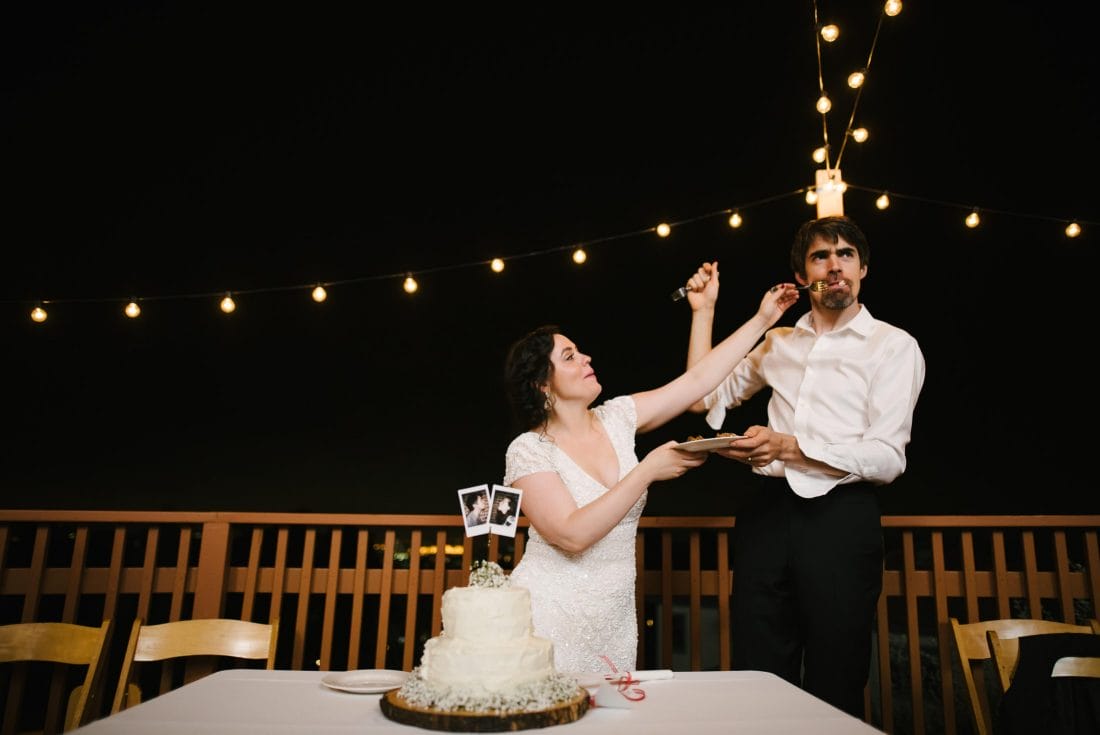 Cake Cutting