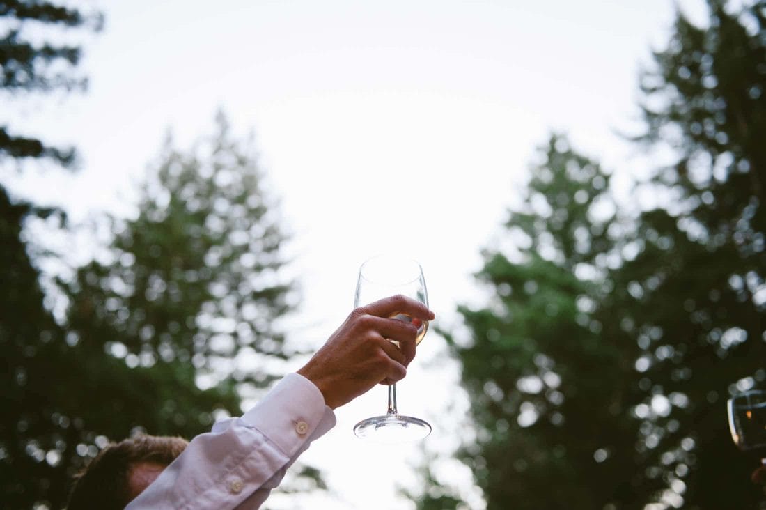 Sequoia Retreat Wedding Toasting