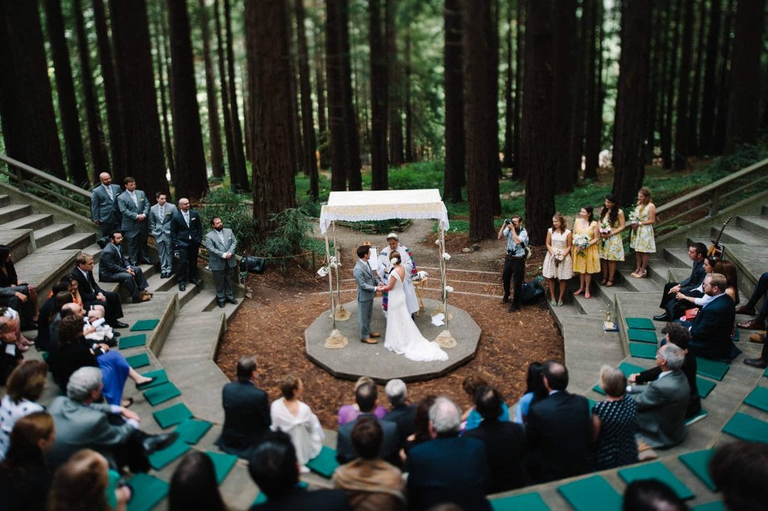 Artistic UC Botanical Garden Wedding in Redwood Grove