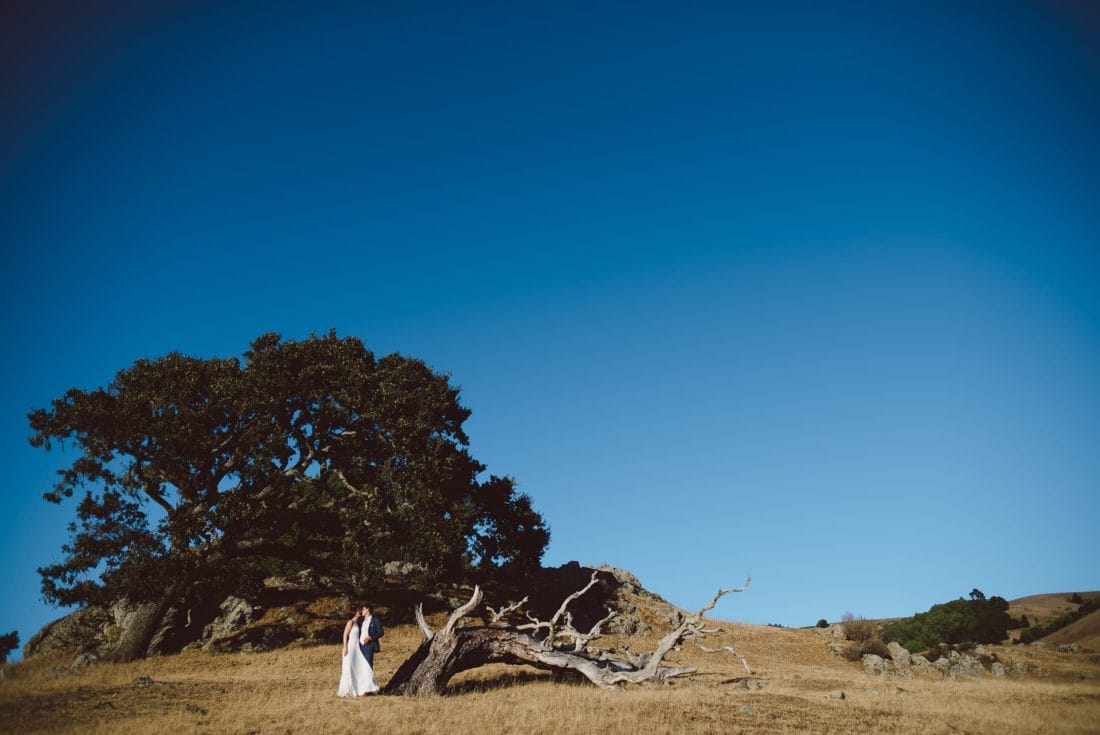 wedding portrait at rancho nicasio in marin