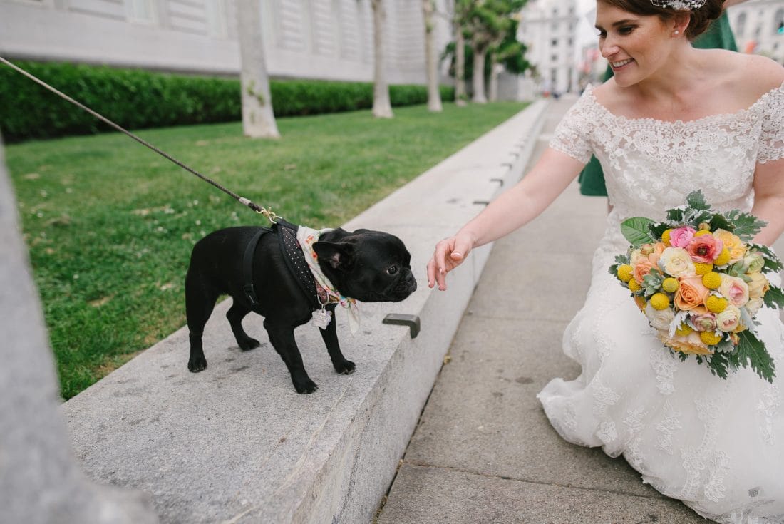 San Francisco City Hall Wedding with Pug