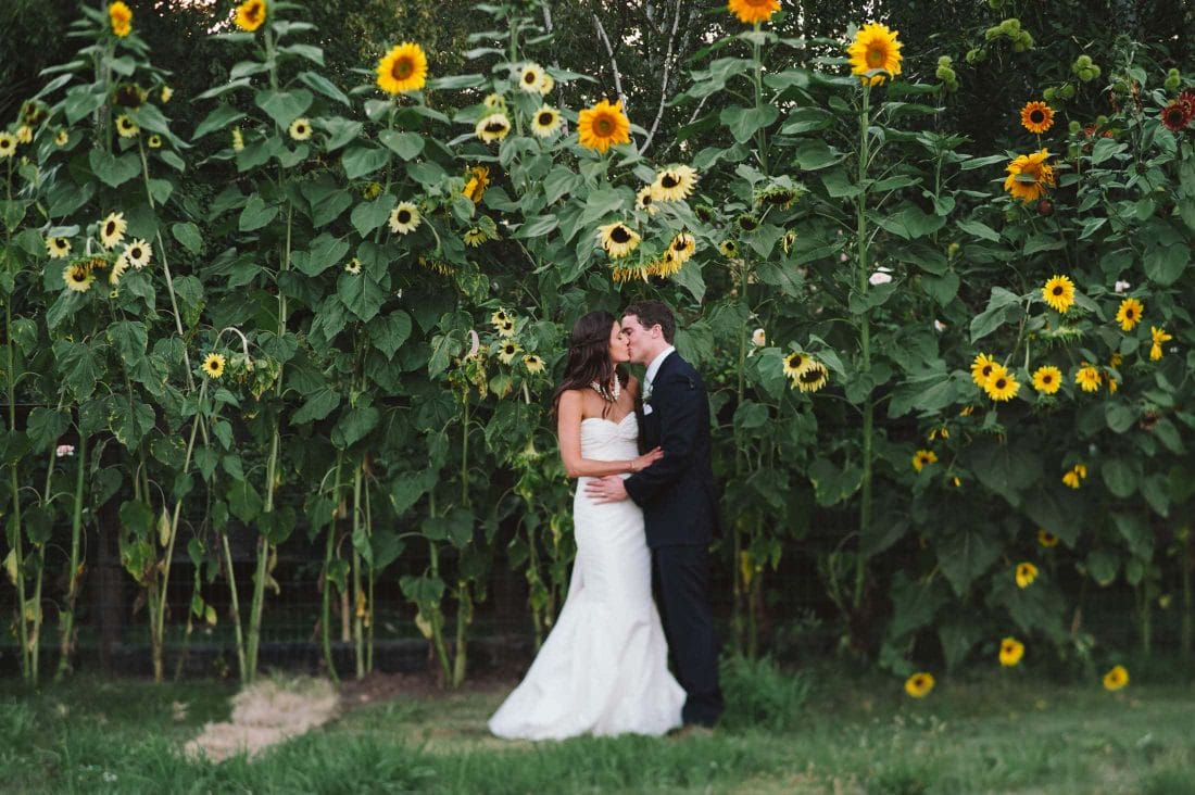 artistic kiss with sunflowers at sonoma garden pavilion wedding