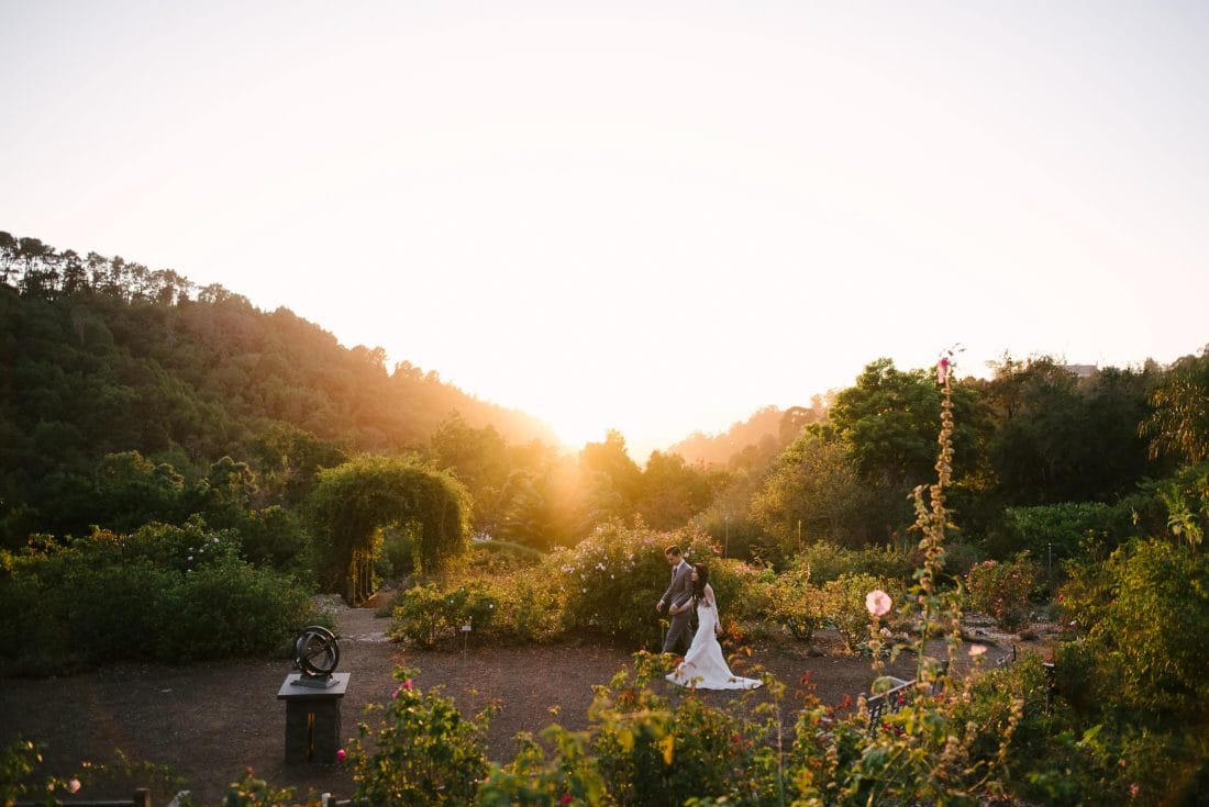 Berkeley Botanical Garden Wedding Rose