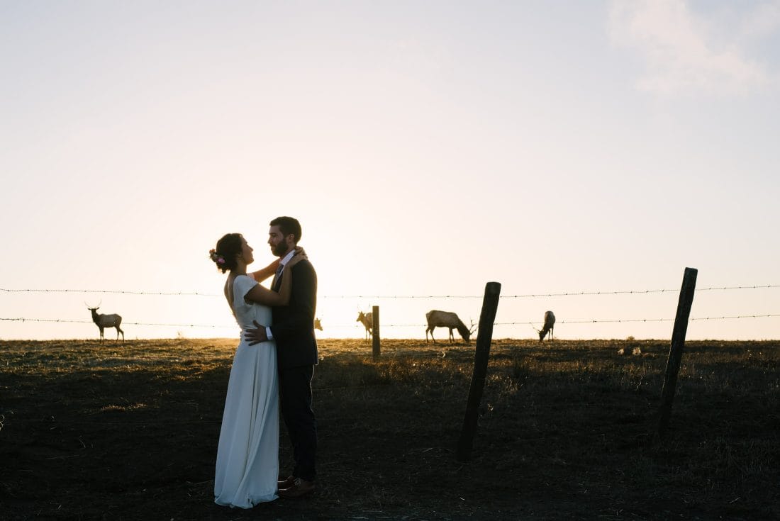 point reyes wedding